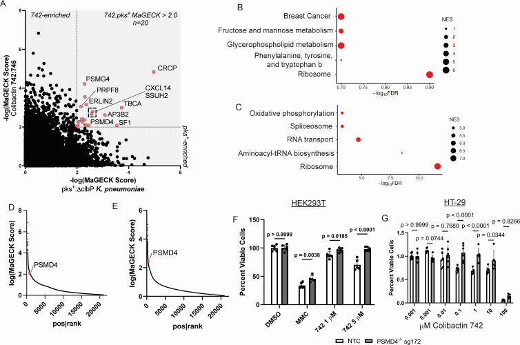 The whole genome of Escherichia coli was screened using CRISPR KO, and the next experiment was carried out. (OA Literature)